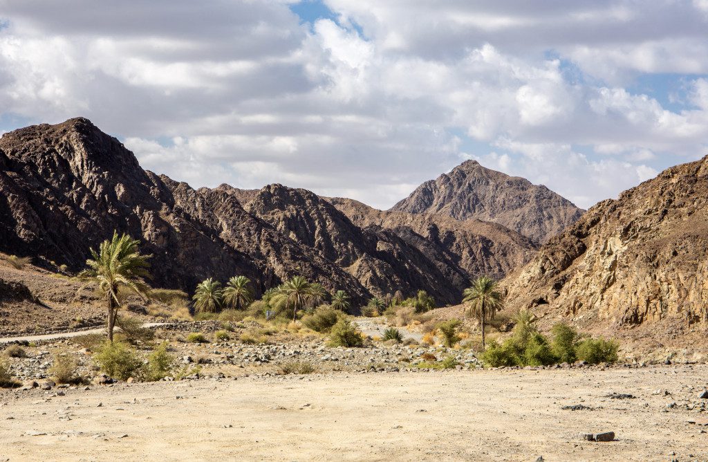Discovering Dubai’s Hiking and Camping Spots